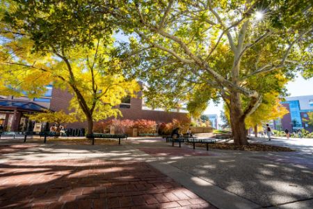 Picture for category Fall UCoPE 2026